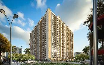 WhatsApp Image 2024-02-12 at 19.31 (2)