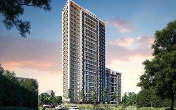 WhatsApp Image 2024-02-12 at 19.31 (4)