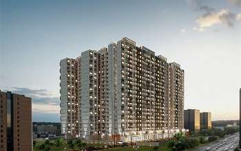 post 1cosmos 10xxxhdpi (5)