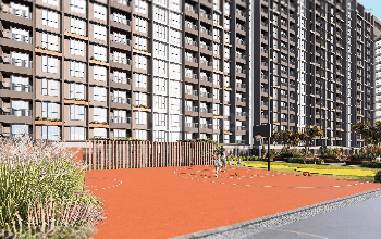 transparent-Photoroom (8)